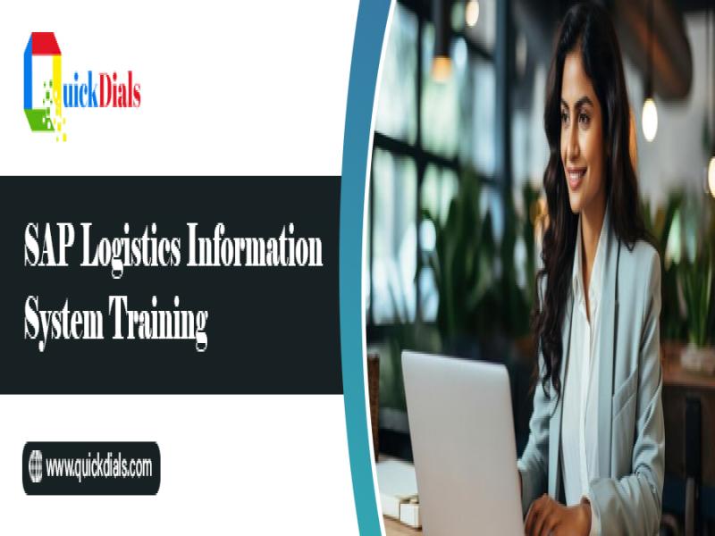 SAP Logistics Information System Training